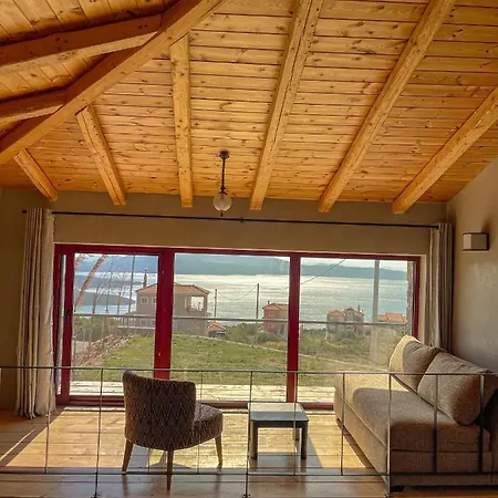 Modern Stone With Swimming Pool