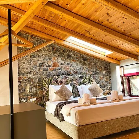 Modern Stone With Swimming Pool ألفيريون