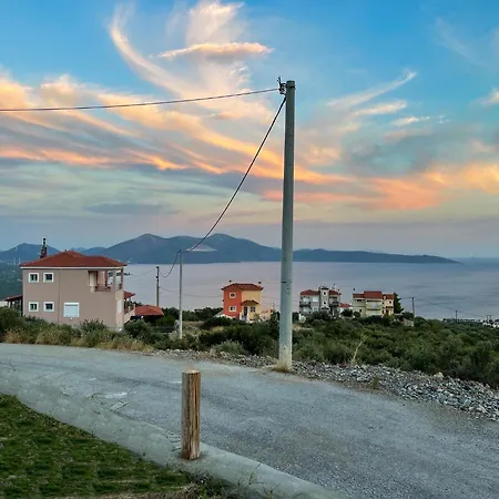 Modern Stone With Swimming Pool *
