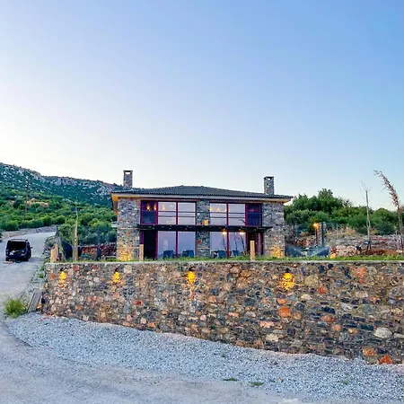 Modern Stone With Swimming Pool * Aliveri