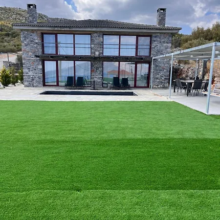 Modern Stone With Swimming Pool *